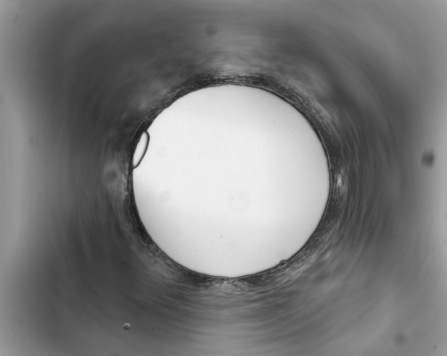 X0000103261348200809191709