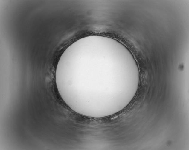 X0000103261349200809191709