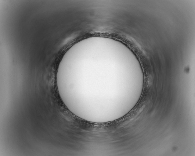 X0000103261350200809191709