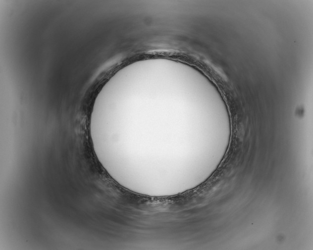 X0000103261351200809191709