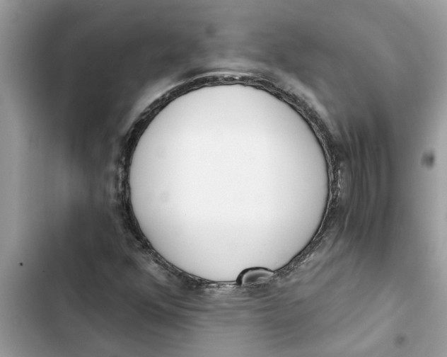 X0000103261352200809191709