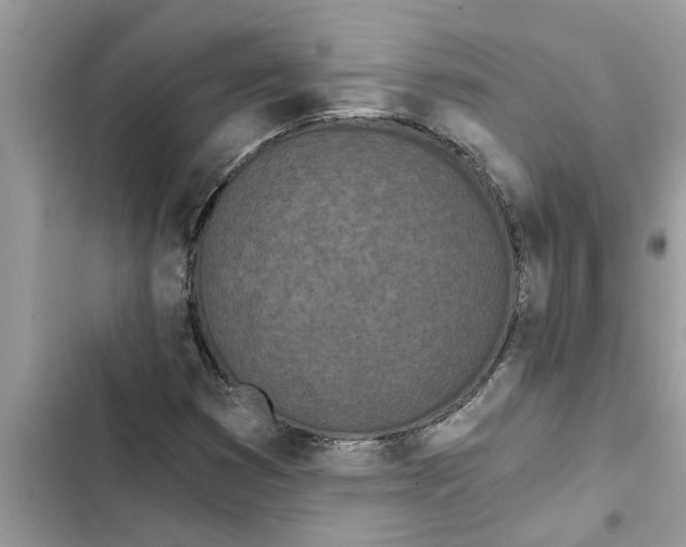 X0000103261353200809191709