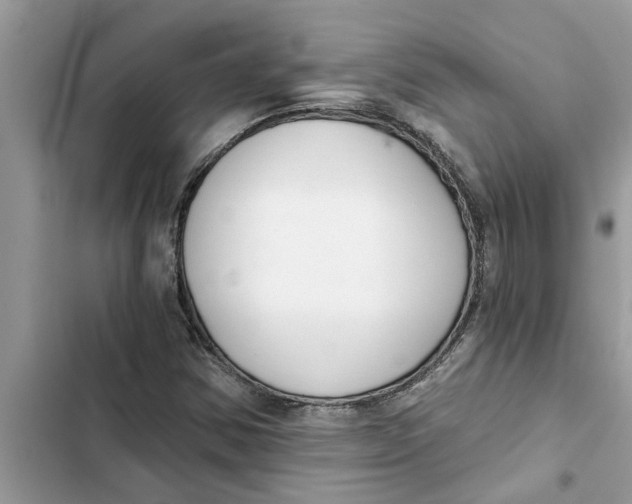 X0000103261354200809191709