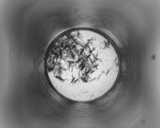 X0000103261356200809191709