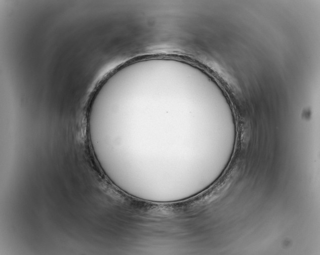 X0000103261358200809191709