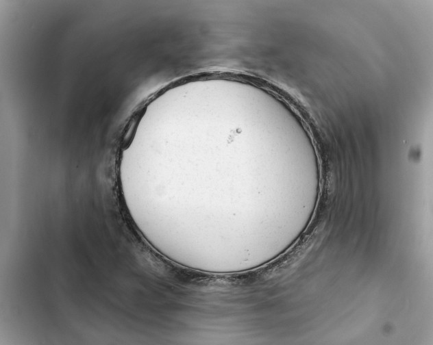 X0000103261359200809191709