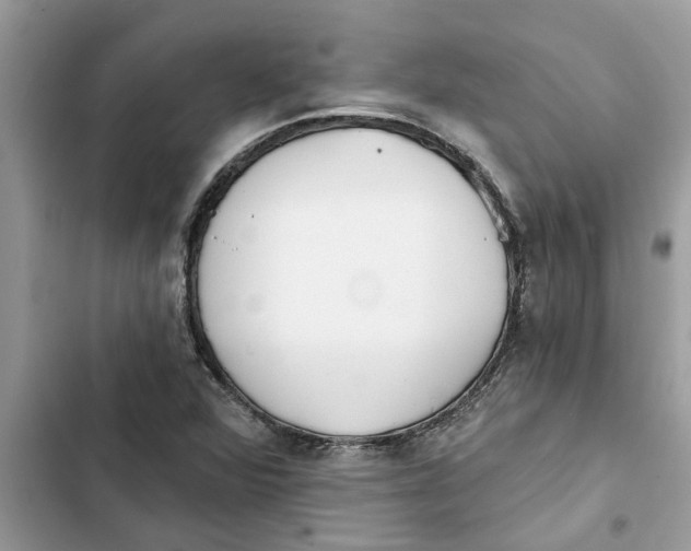 X0000103261360200809191709