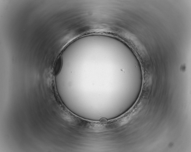 X0000103261361200809191709