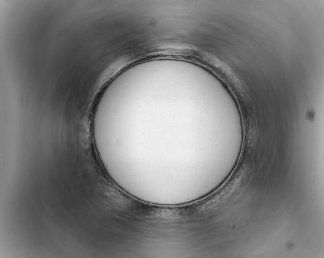 X0000103261362200809191709