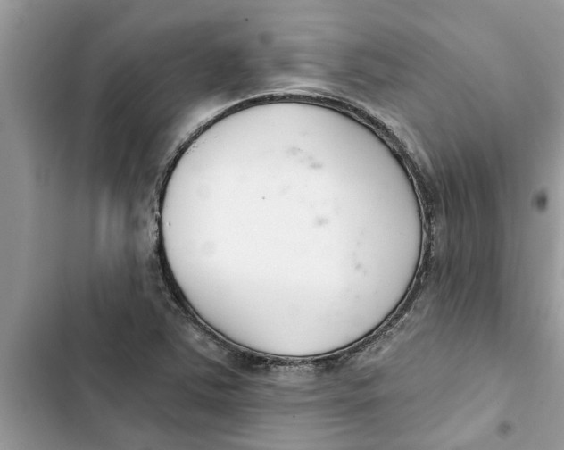 X0000103261363200809191709