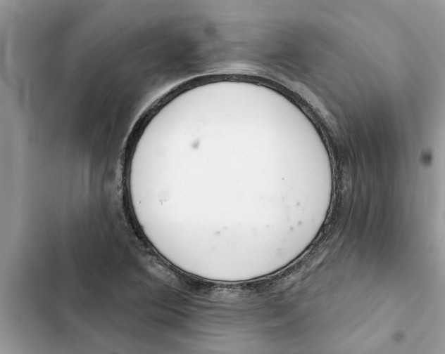 X0000103261364200809191709