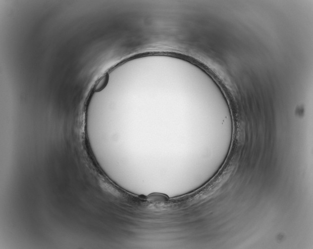 X0000103261366200809191709