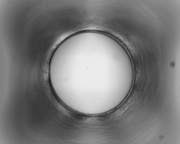 X0000103261367200809191709