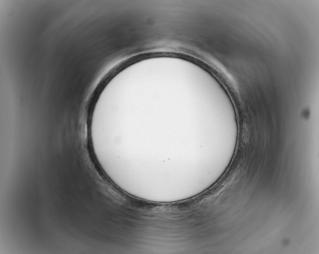 X0000103261368200809191709