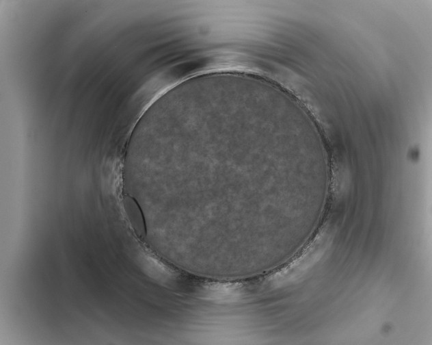 X0000103261369200809191709