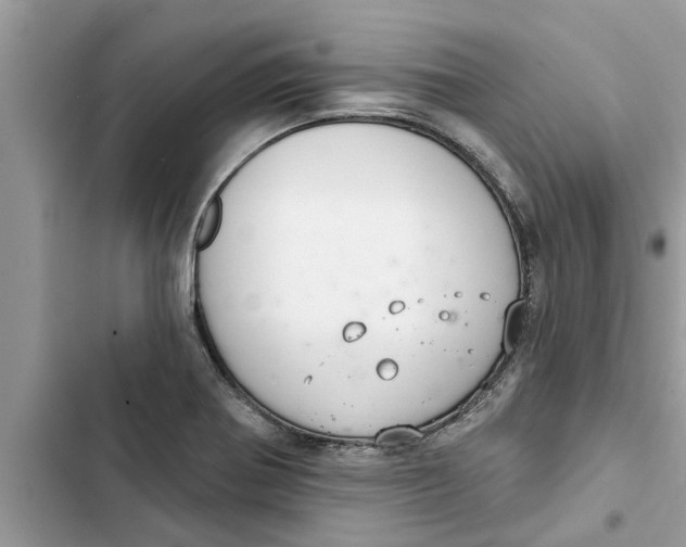 X0000103261370200809191709