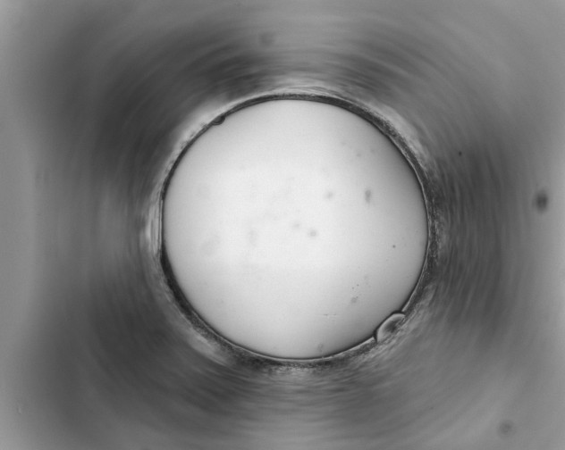 X0000103261371200809191709