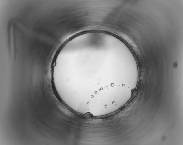 X0000103261372200809191709