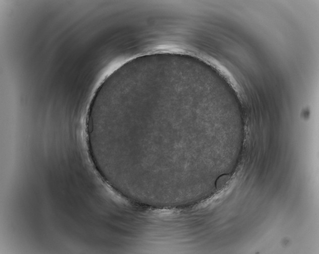 X0000103261373200809191708