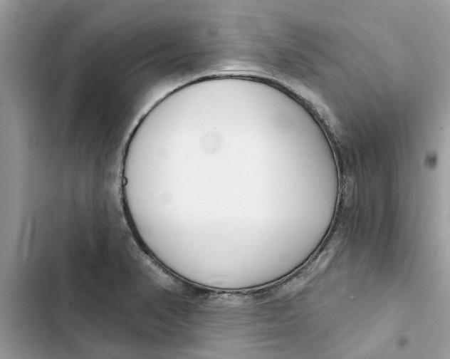 X0000103261374200809191708