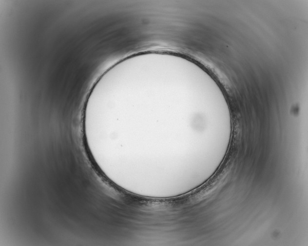 X0000103261375200809191708