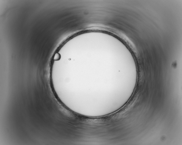 X0000103261376200809191708