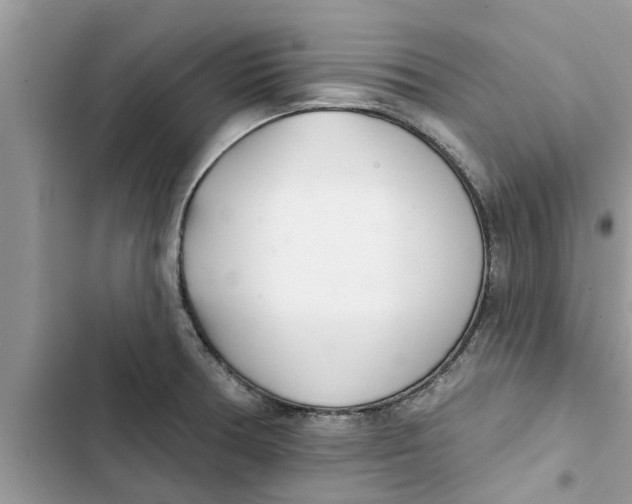 X0000103261378200809191708