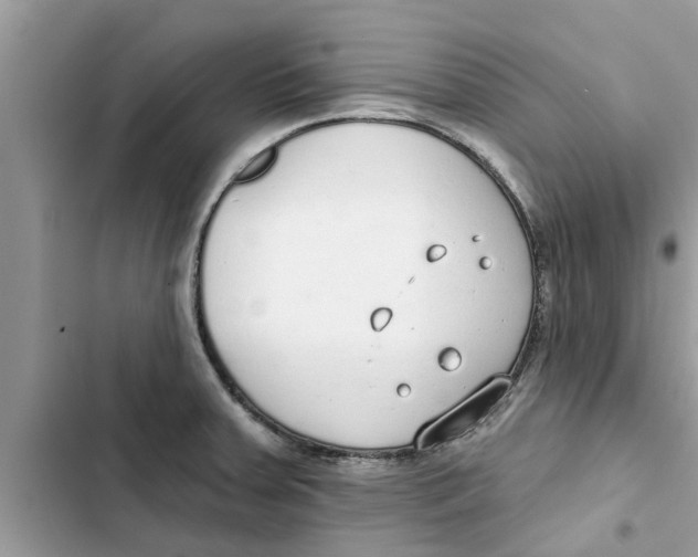 X0000103261379200809191708