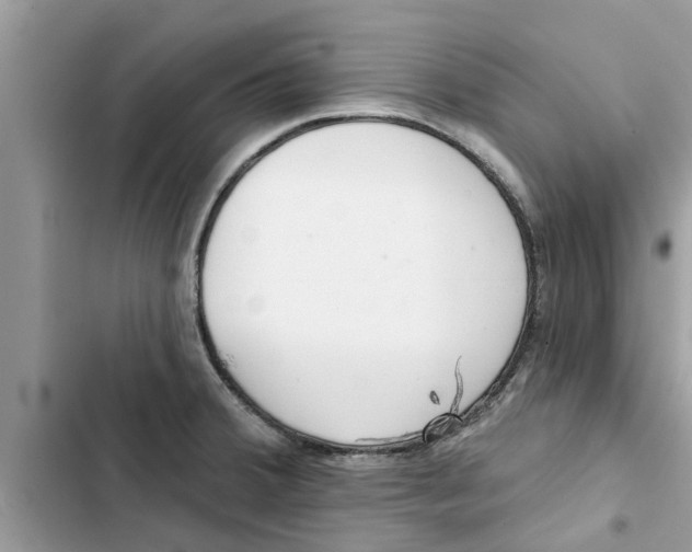 X0000103261380200809191708