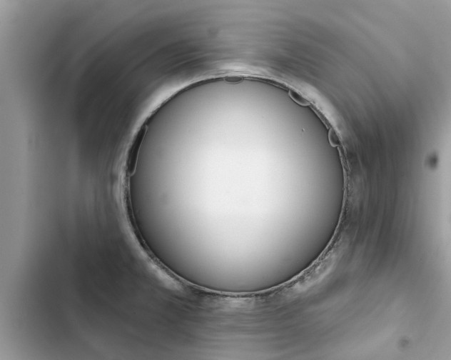 X0000103261381200809191708