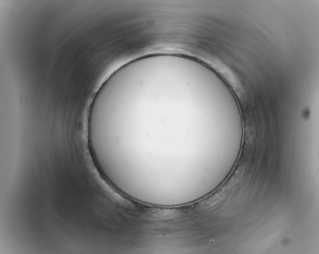 X0000103261382200809191708