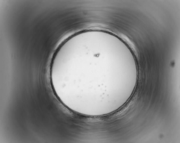 X0000103261384200809191708