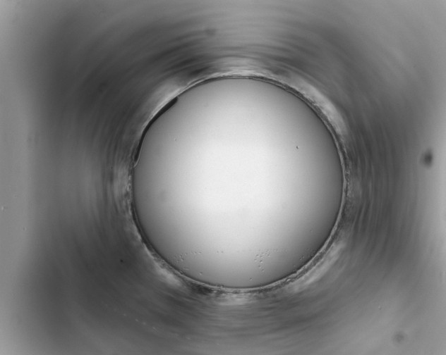 X0000103261385200809191708