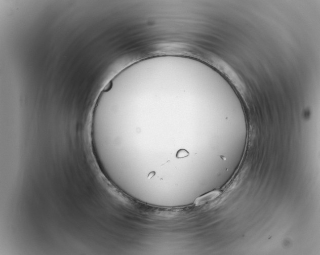 X0000103261386200809191708