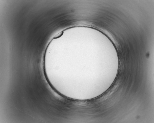 X0000103261387200809191708