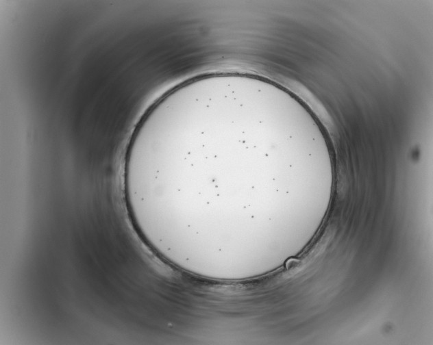 X0000103261388200809191708