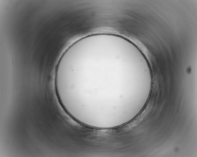 X0000103261390200809191708