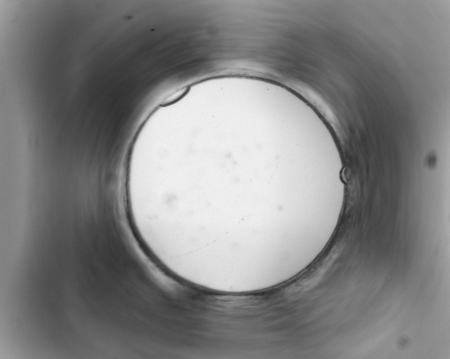 X0000103261391200809191708