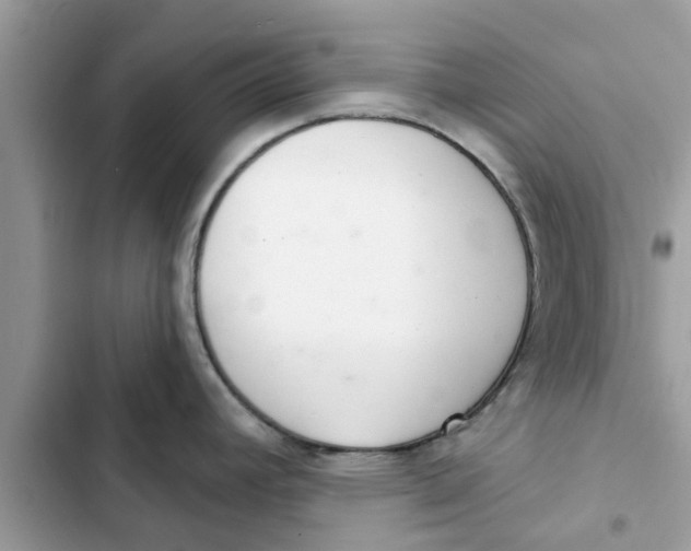 X0000103261392200809191708