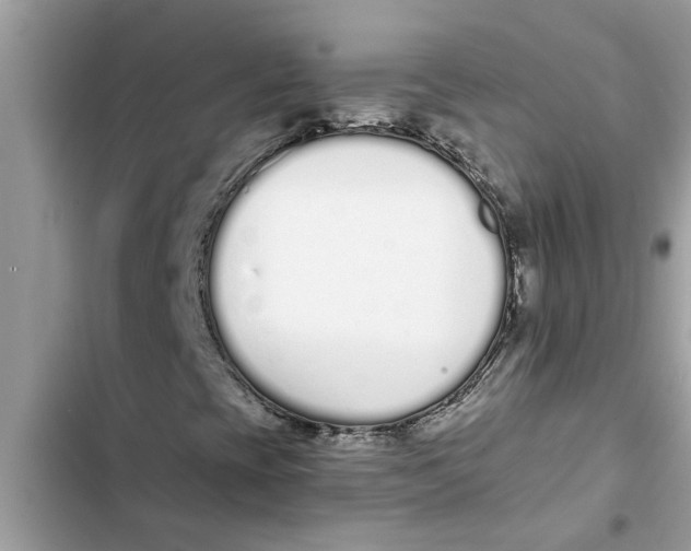 X0000103261393200809191707