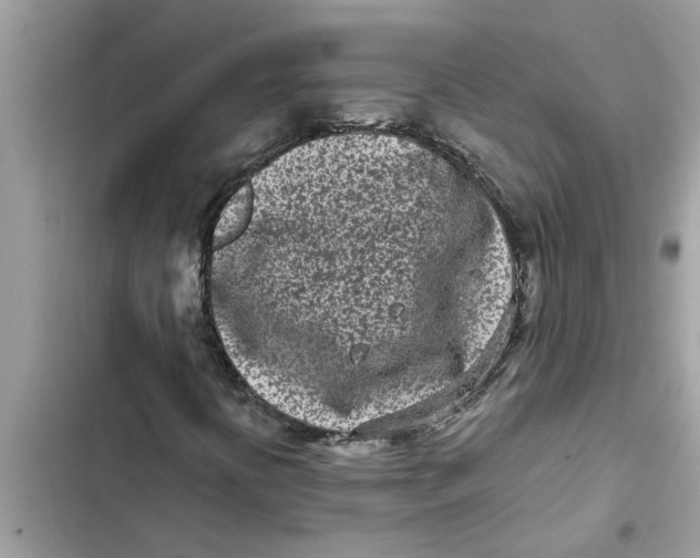 X0000103261394200809191707