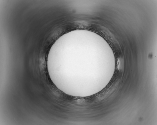 X0000103261395200809191707