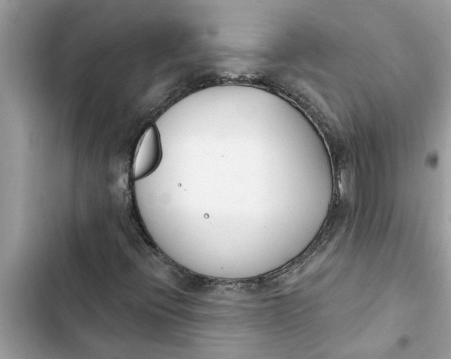 X0000103261396200809191707