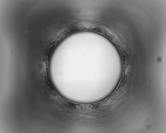 X0000103261397200809191707