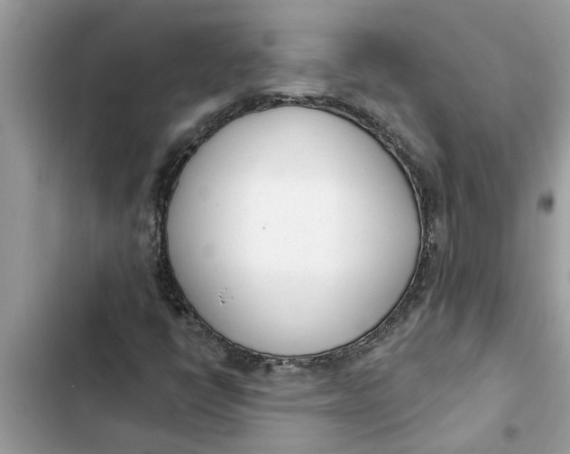 X0000103261398200809191707