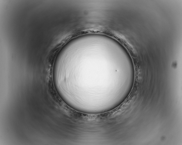 X0000103261399200809191707