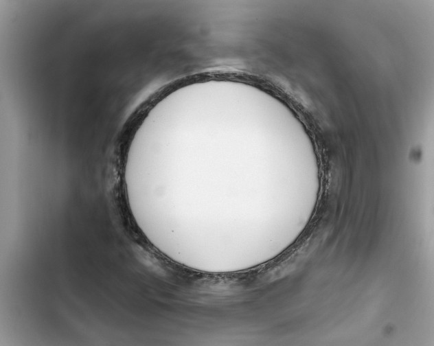 X0000103261400200809191707