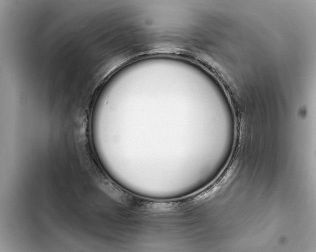 X0000103261401200809191707