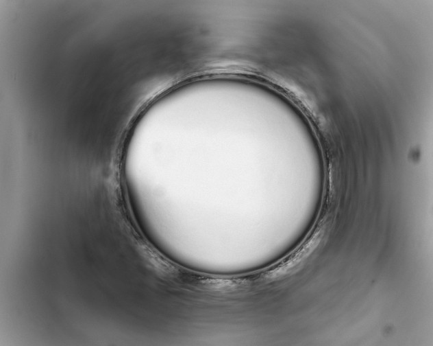 X0000103261405200809191707