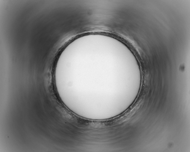 X0000103261407200809191707